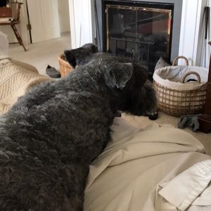 Meet your Posher, Kathy